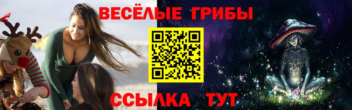 Псилоцибиновые грибы Cubensis  Галлюциногенные грибы прущие грибы  Южноуральск  Вход с VPN 